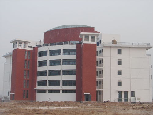 嘉誠尚東花園綜合樓屋面采光網(wǎng)殼造型工程